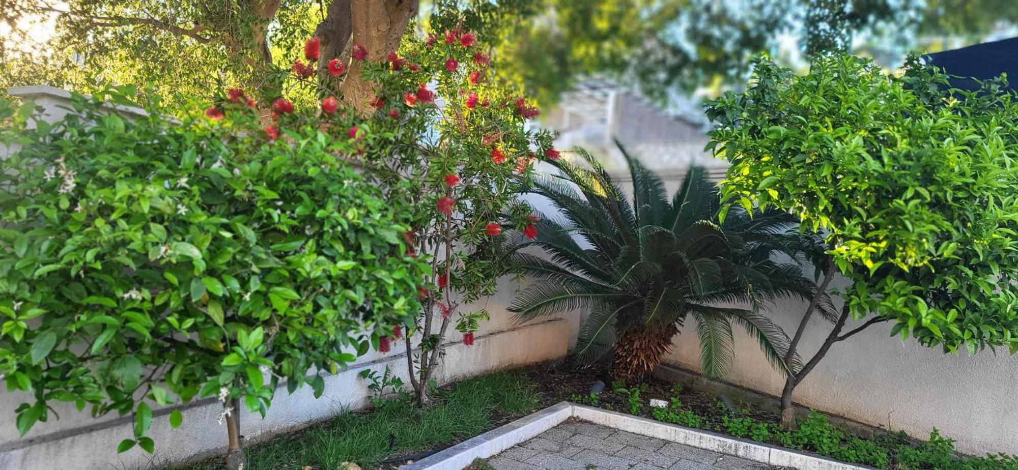 Apartments Villa Alba Dubrovnik Extérieur photo