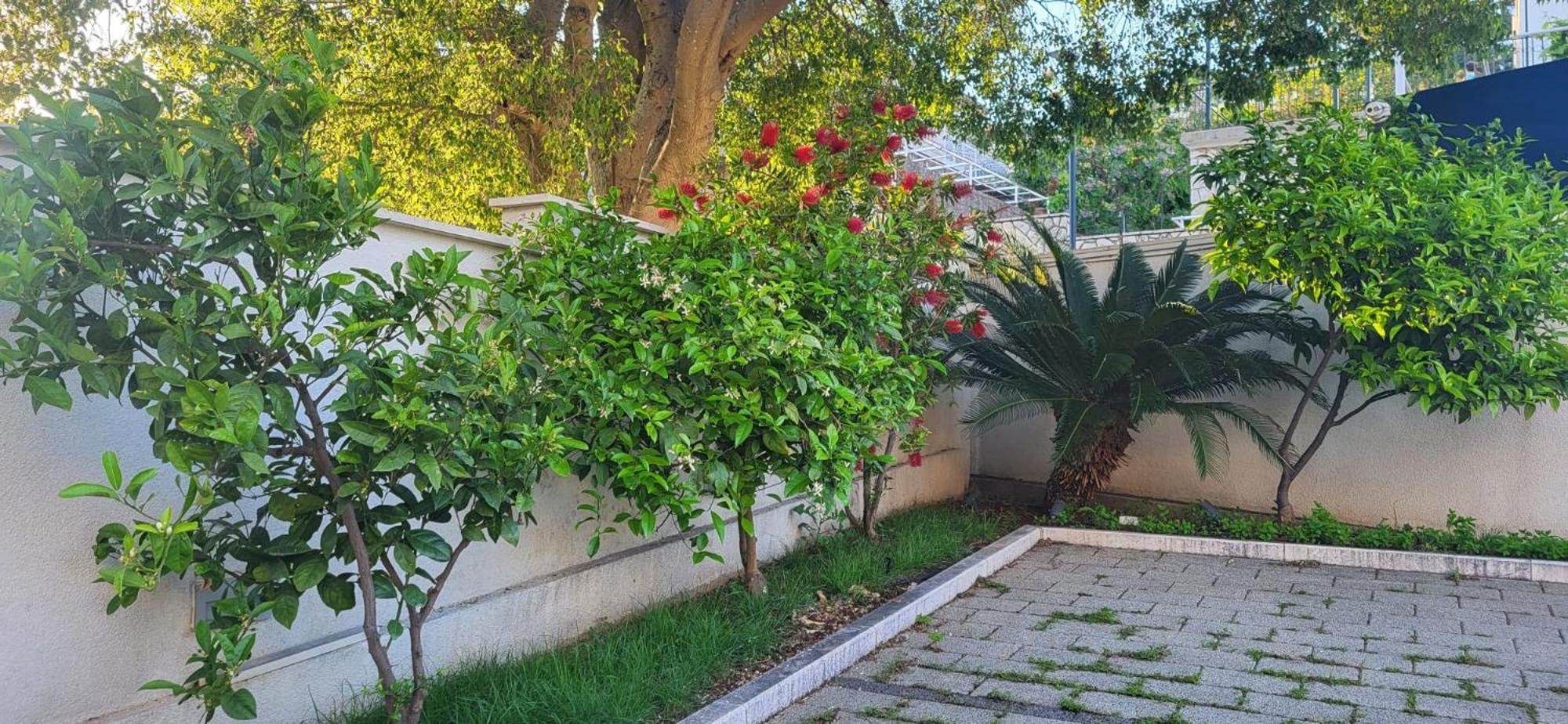 Apartments Villa Alba Dubrovnik Extérieur photo